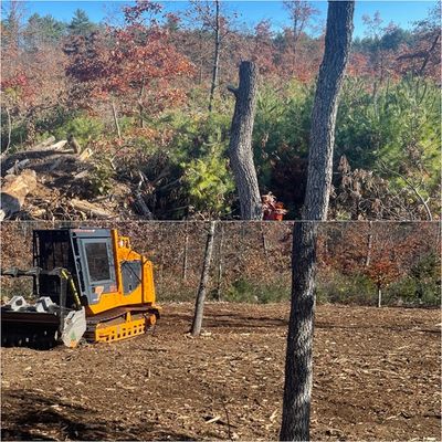 Tree grinding and logging equipment in Louisburg, NC