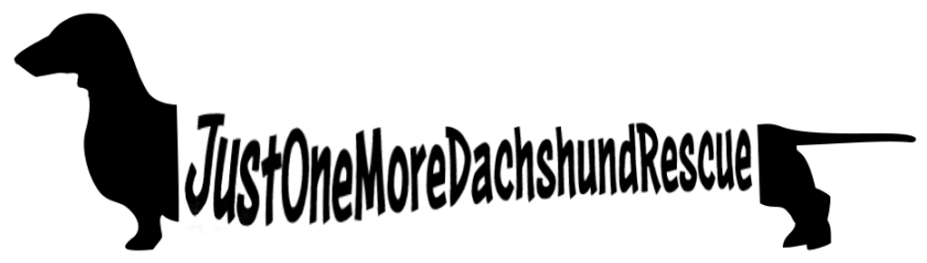 image11