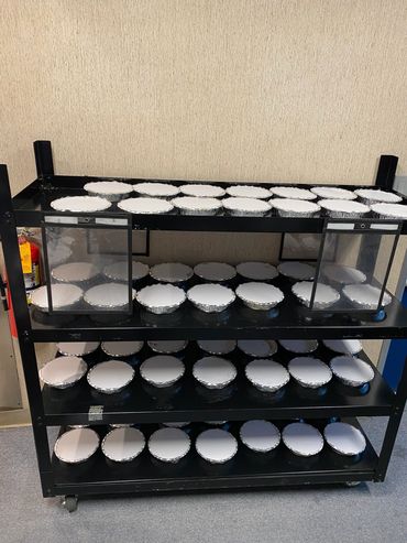 Mission Belly Full meals on cart for donation.