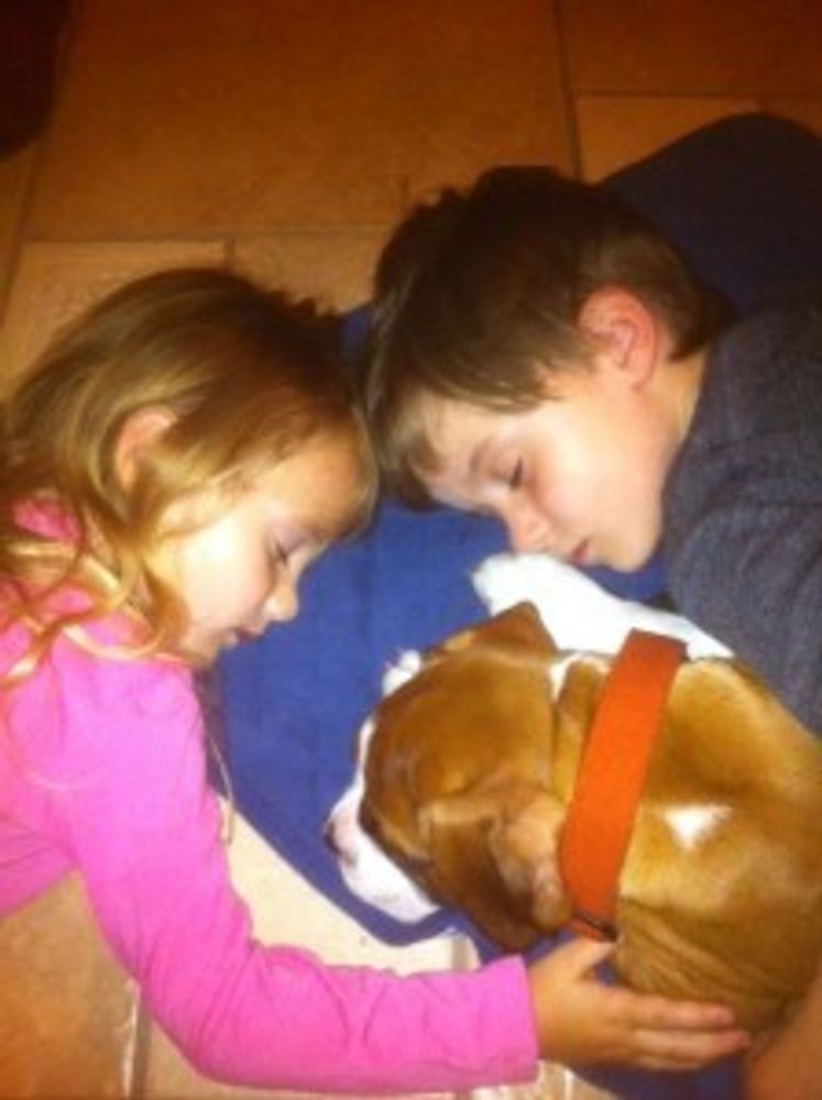 Two children and boxer puppy sleeping