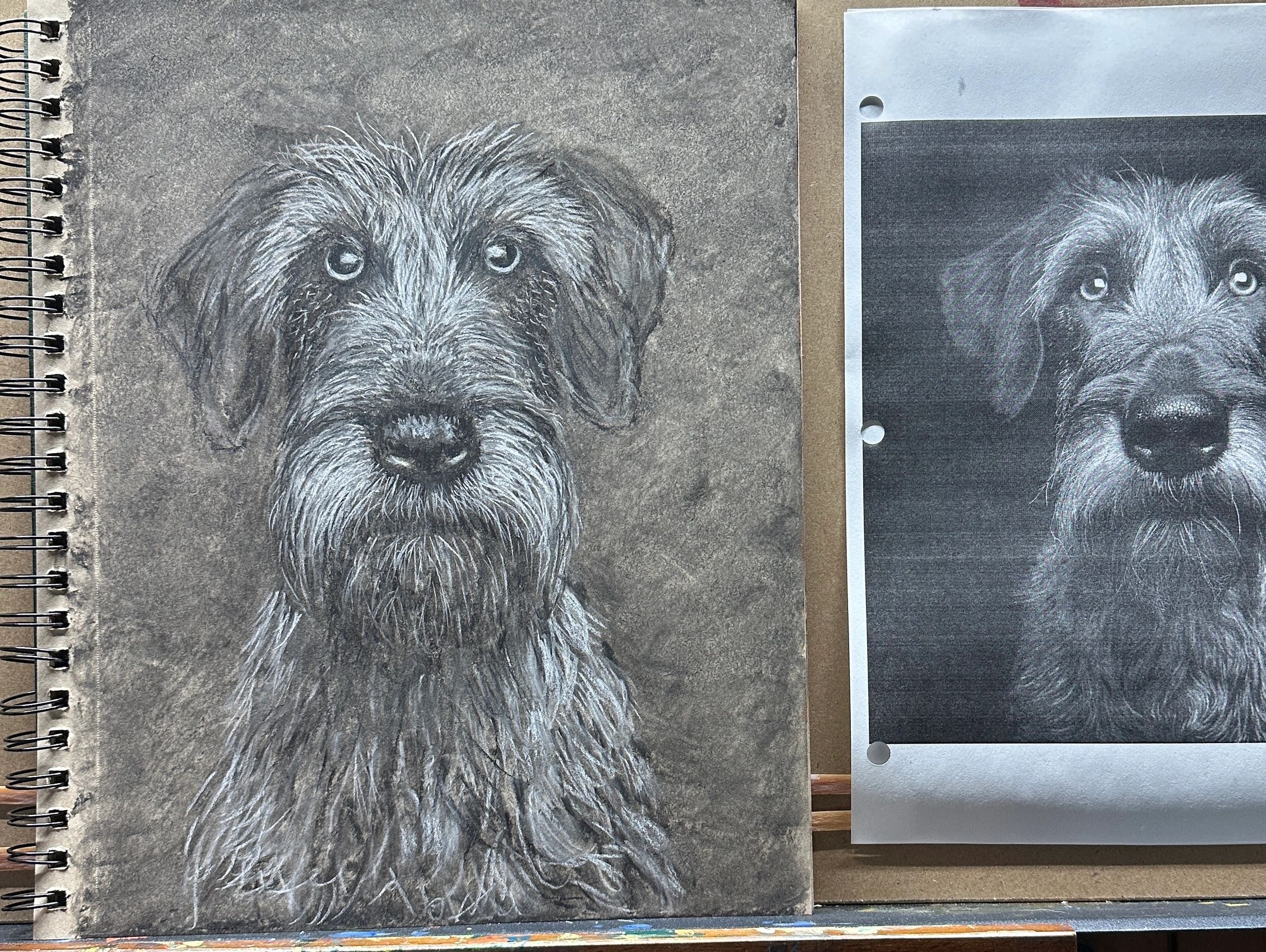 PET COMMISSION PORTRAITS