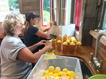 Bottling honey from our beehives in the Barrington, IL area
