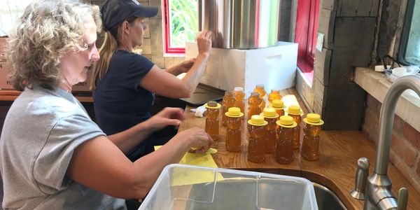 Bottling Fresh Local Raw Honey!
