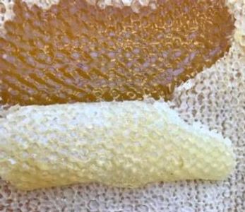 Honeycomb