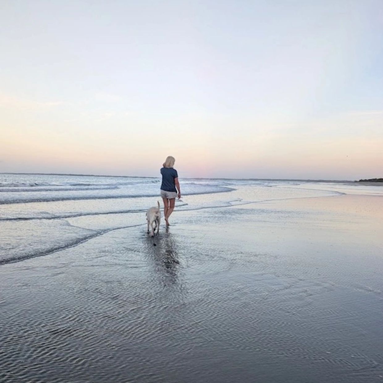 Person walking with dog on beach during sunset.