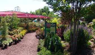 Nursery, garden center, plants