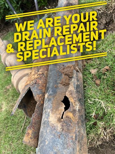 Drain Cleaning, Drain Replacement, Drain Repairs