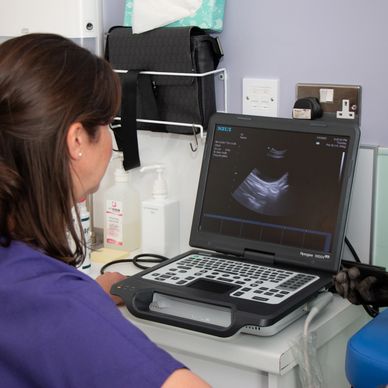 Lucy wearing a purple top performing an ultrasound scan on a dog