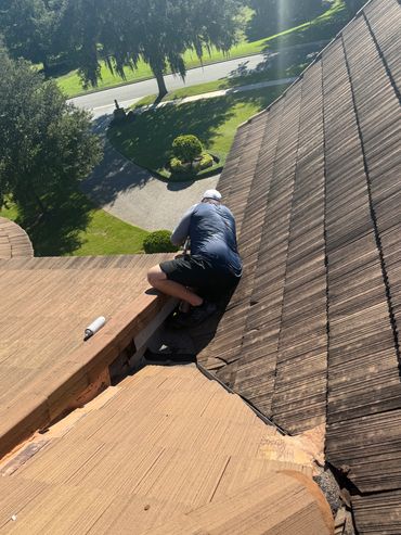 Wildlife Technician on a roof sealing wildlife entry points