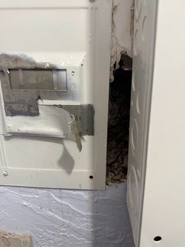 Signs of rats behind the wall