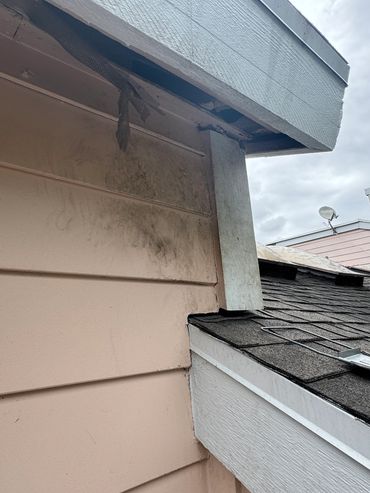 Raccoon Entry Point in Soffit Vents