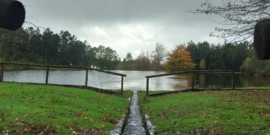 Lago, paisagem de outono, num parque merendas verdejante.