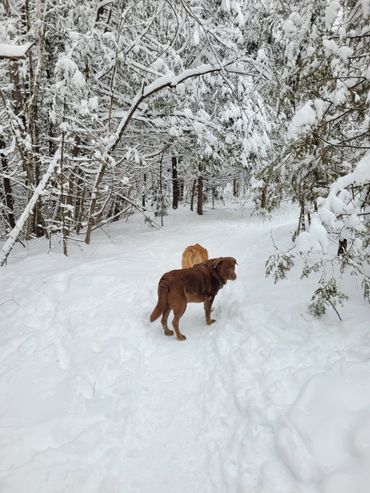 They will be living their best life in the wild!