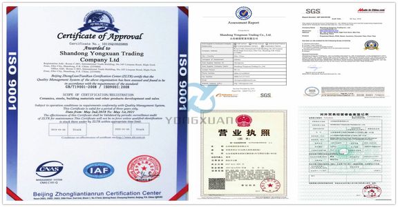 Yongxuan ISO Certificate, Yongxuan Business License, Yongxuan SGS Audit Report
