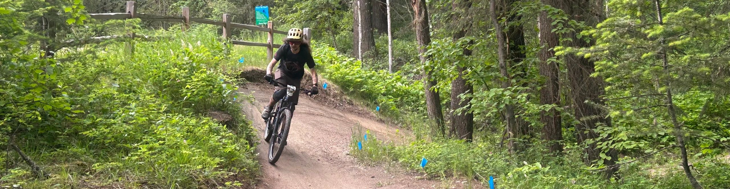 Person mountain biking on a forest trail.