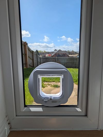 A cat flap installed in a glass door with a sunny backyard outside.