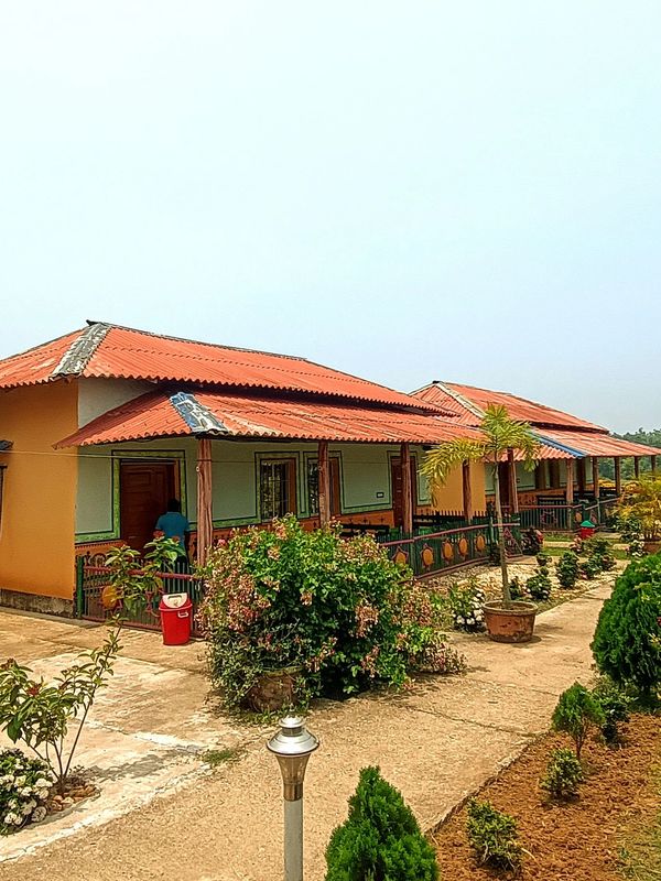 Colorful houses with red roofs and garden plants.