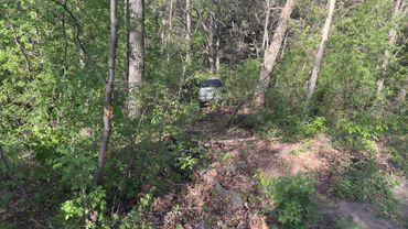 A car is partially hidden in dense forest foliage.