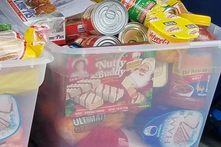 Plastic bin full of various canned and packaged food.
