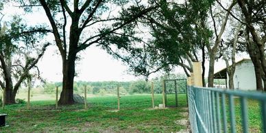 Fully fenced 6 acres dog training and boarding facility.