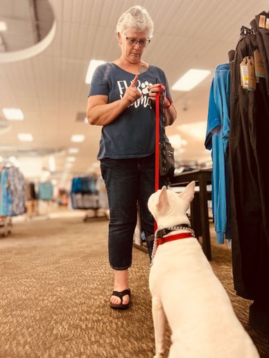 Woman training her white dog indoors.