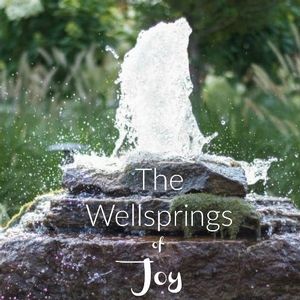 The Wellsprings of Joy is a read that encourages those who dig into its truths!