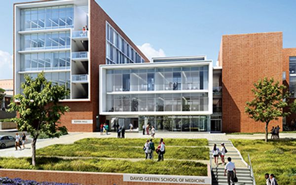 Modern glass and brick building of David Geffen School of Medicine.