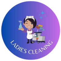 ladiescleaning.com