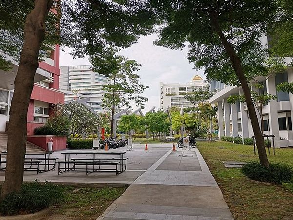 Urban park area with benches, trees, and motorcycles near modern buildings.