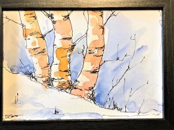 Birch Trees in snow
