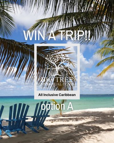 Win an all-inclusive Caribbean trip with Big Tree Memorial Fund.