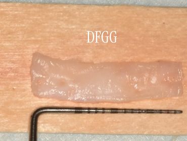 Close-up of a translucent strip labeled DFGG on a wooden surface with a metal tool.