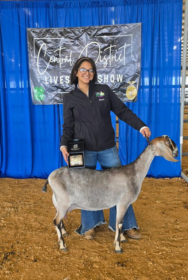 Young woman proudly posing with her award-winning goat at a livestock show.