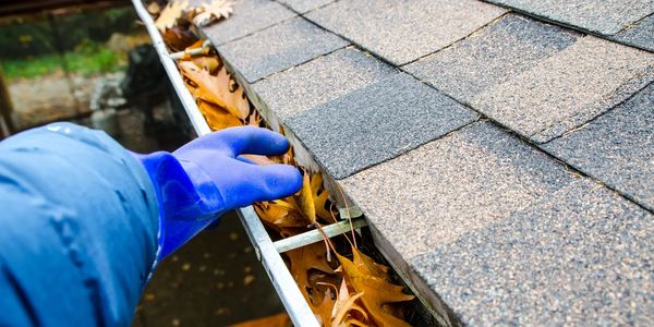 Person wearing blue glove cleaning gutter filled with leaves.