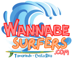 Wannabe Surfers
