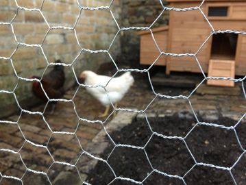 Buy fine quality wire mesh, perforated metal sheet, expanded metal  at Jsr Traders, Bangalore