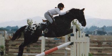 Brawley trainer jumping fence on horse in hunter course. 