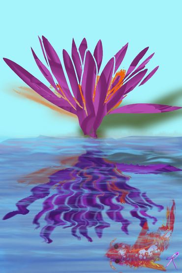 Water Lily in Reflection Pond with Koi