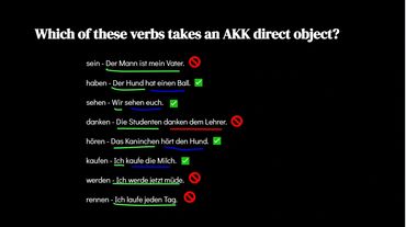 Image of text. Title above text: "Which of these verbs takes an AKK direct object?"