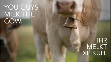 Close-up image of a cow with text.