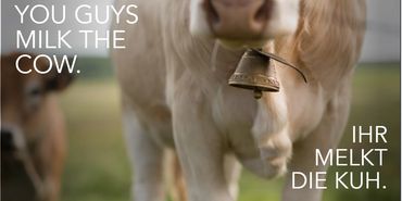 A slide with a picture of a cow and some text.