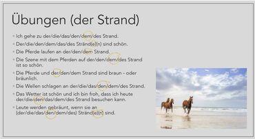 Image of text, with image of horses on the beach in corner.