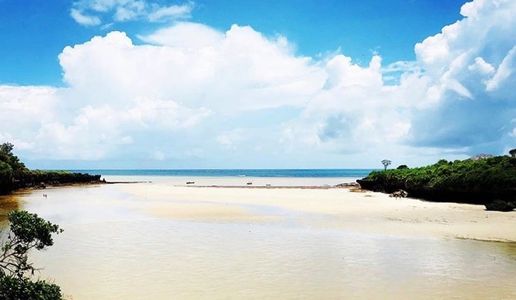 The untouched beach at Dancing Baobab house