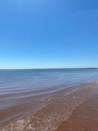 Calm ocean waves gently lap against a sandy shore under a clear blue sky.