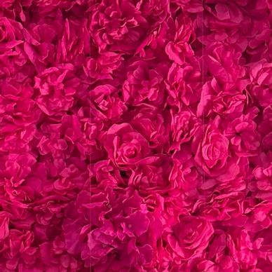 A dense cluster of vibrant pink roses.