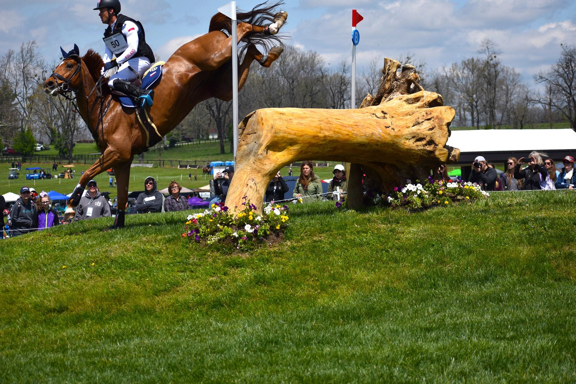 Presidio Equine Sports Medicine & Rehabilitation