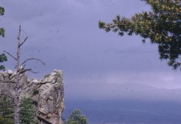 Mount Lemon, Arizona