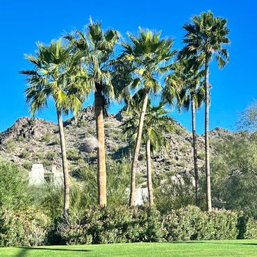 Arizona - Vacationears