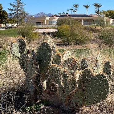 Camelback Golf Club - Vacationears