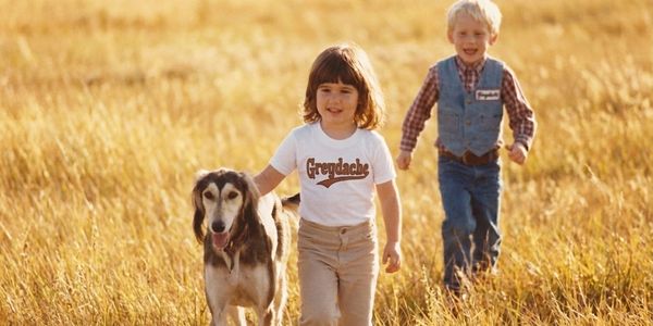 Two children and a dog walk through a sunlit field with smiles.